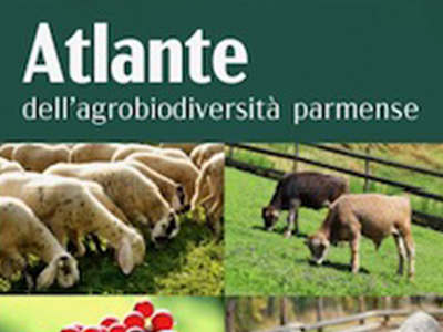 Atlante dell'agrobiodiversitÃ  parmense