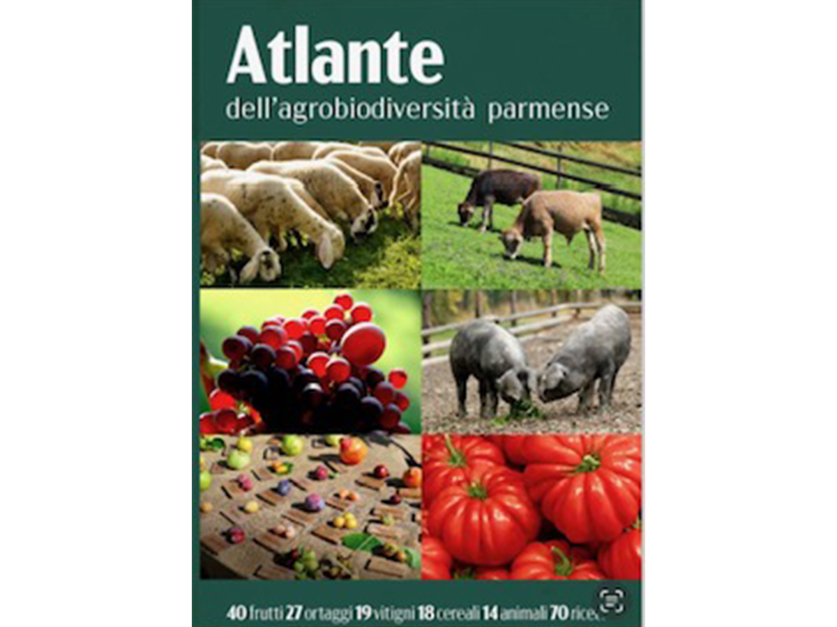 Atlante dell'agrobiodiversitÃ  parmense