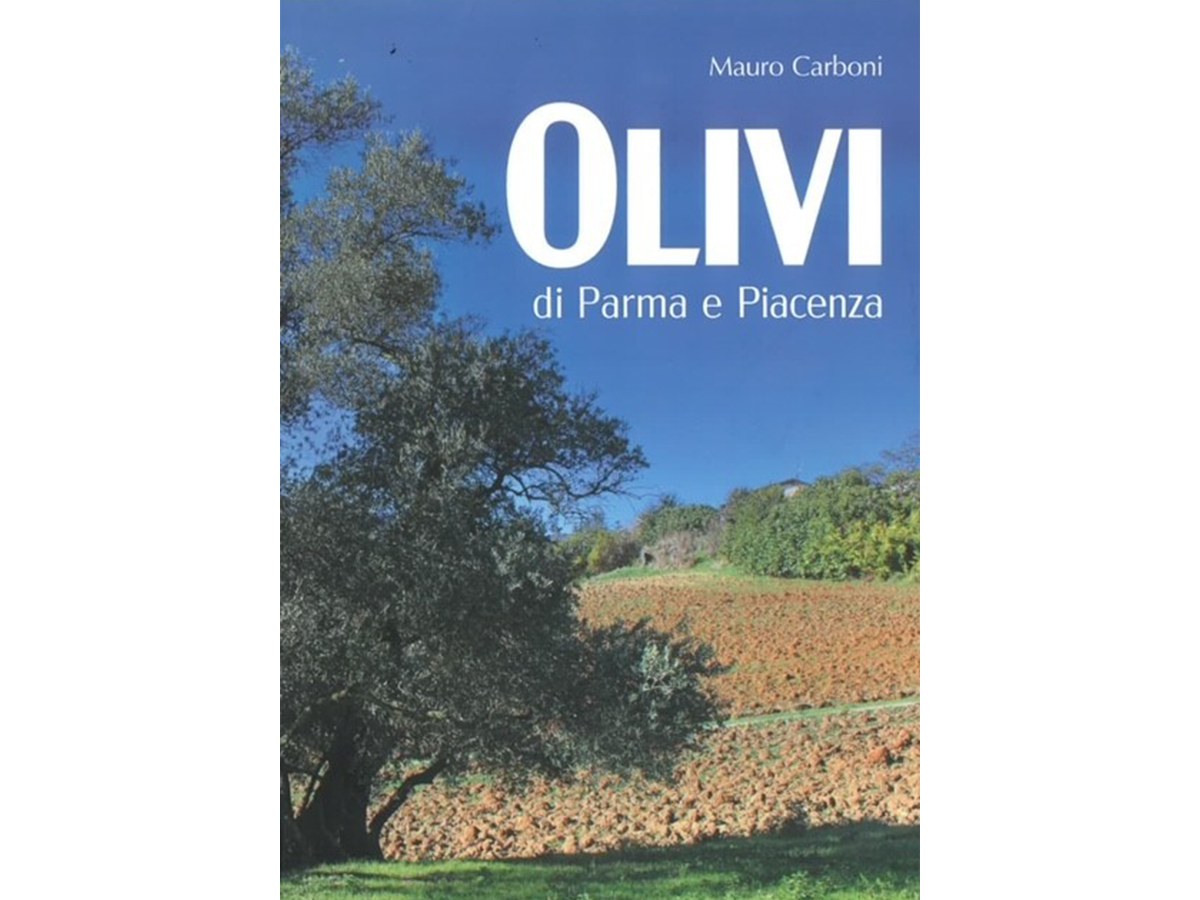 Olivi di Parma e Piacenza